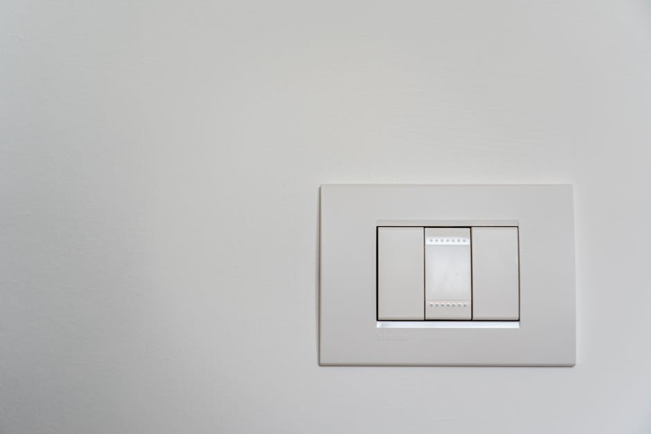 Light switch and dimmer installation Seattle WA