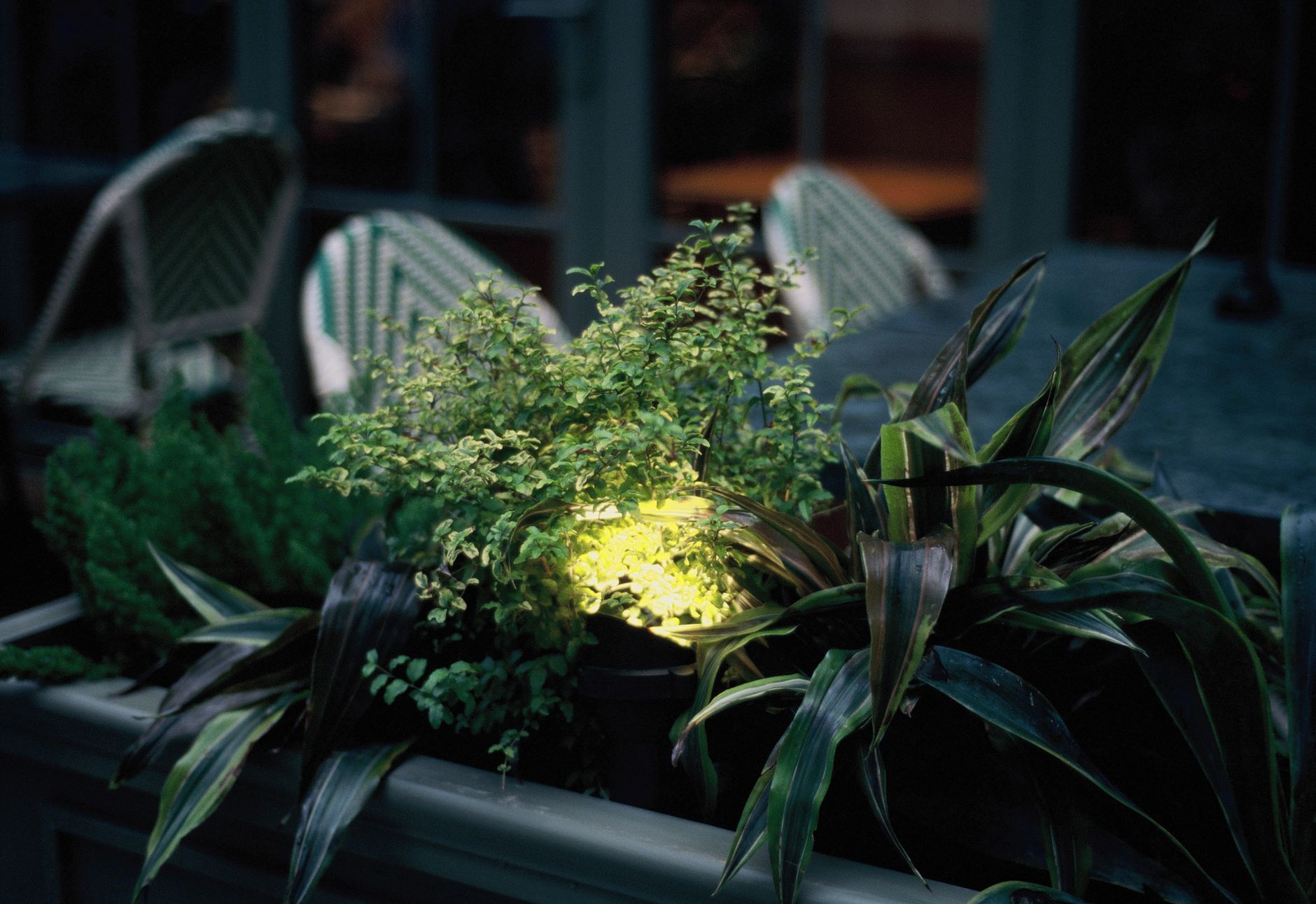 Lighting installation Newcastle WA