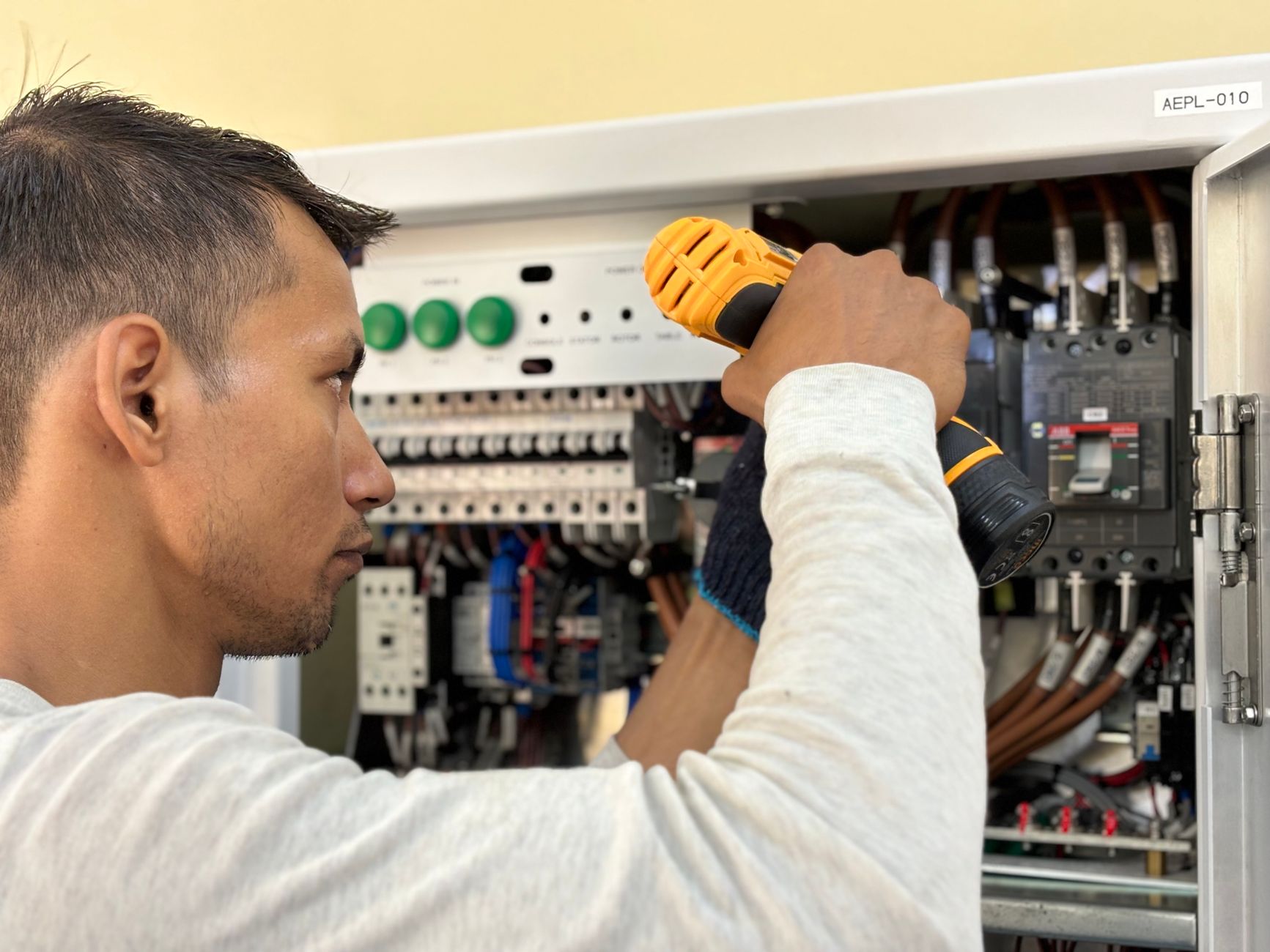 Electrical panel upgrade Newcastle WA